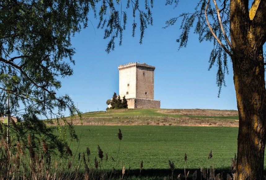 Torre castillo de Arenillas de Muño, Spain